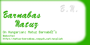 barnabas matuz business card